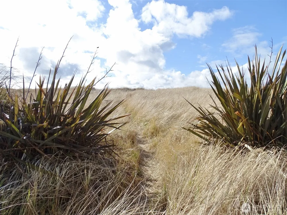 1335 Ocean Shores Boulevard SW #S42 Ocean Shores, WA 98569