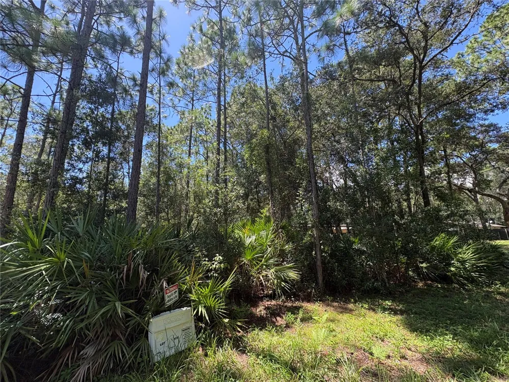394 FLORENE POINT Crystal River, FL 34429