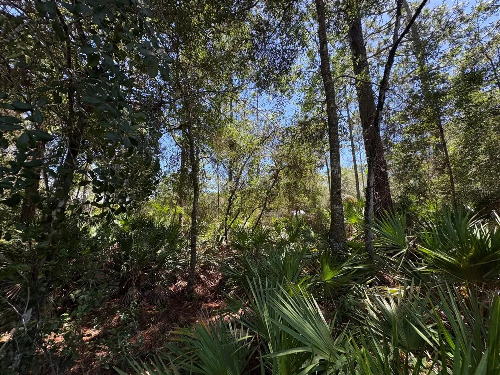 394 FLORENE POINT Crystal River, FL 34429
