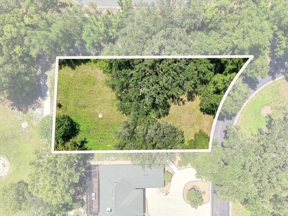 512 DOWLING CIRCLE Lady Lake, FL 32159