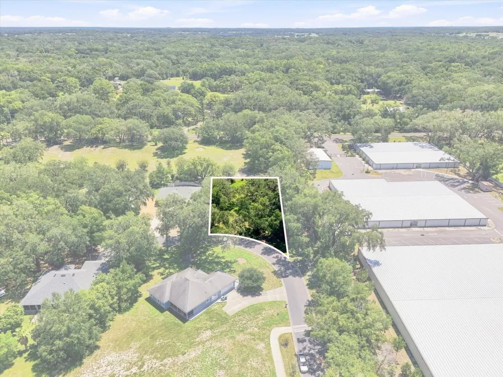 512 DOWLING CIRCLE Lady Lake, FL 32159