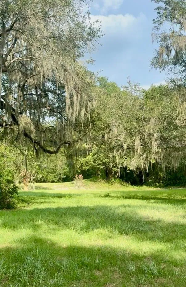 512 DOWLING CIRCLE Lady Lake, FL 32159