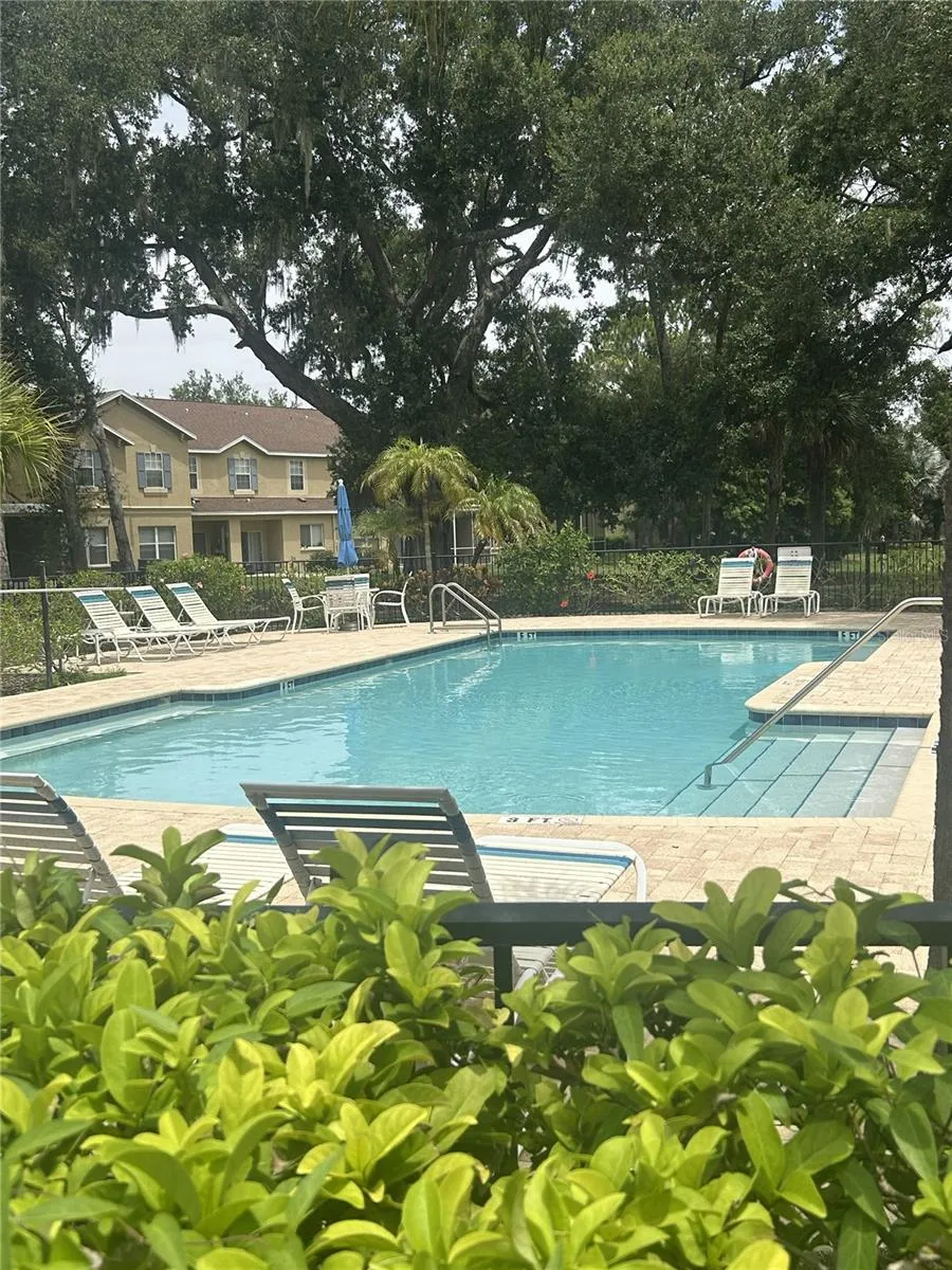 10536 SHADY FALLS COURT Riverview, FL 33578