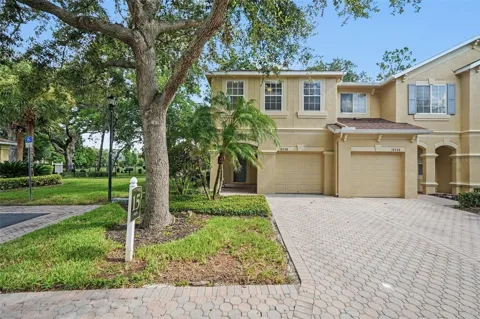 10536 SHADY FALLS COURT