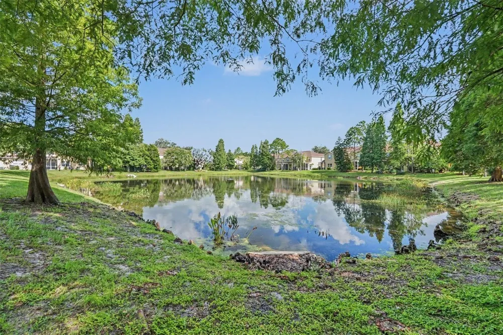 10536 SHADY FALLS COURT Riverview, FL 33578