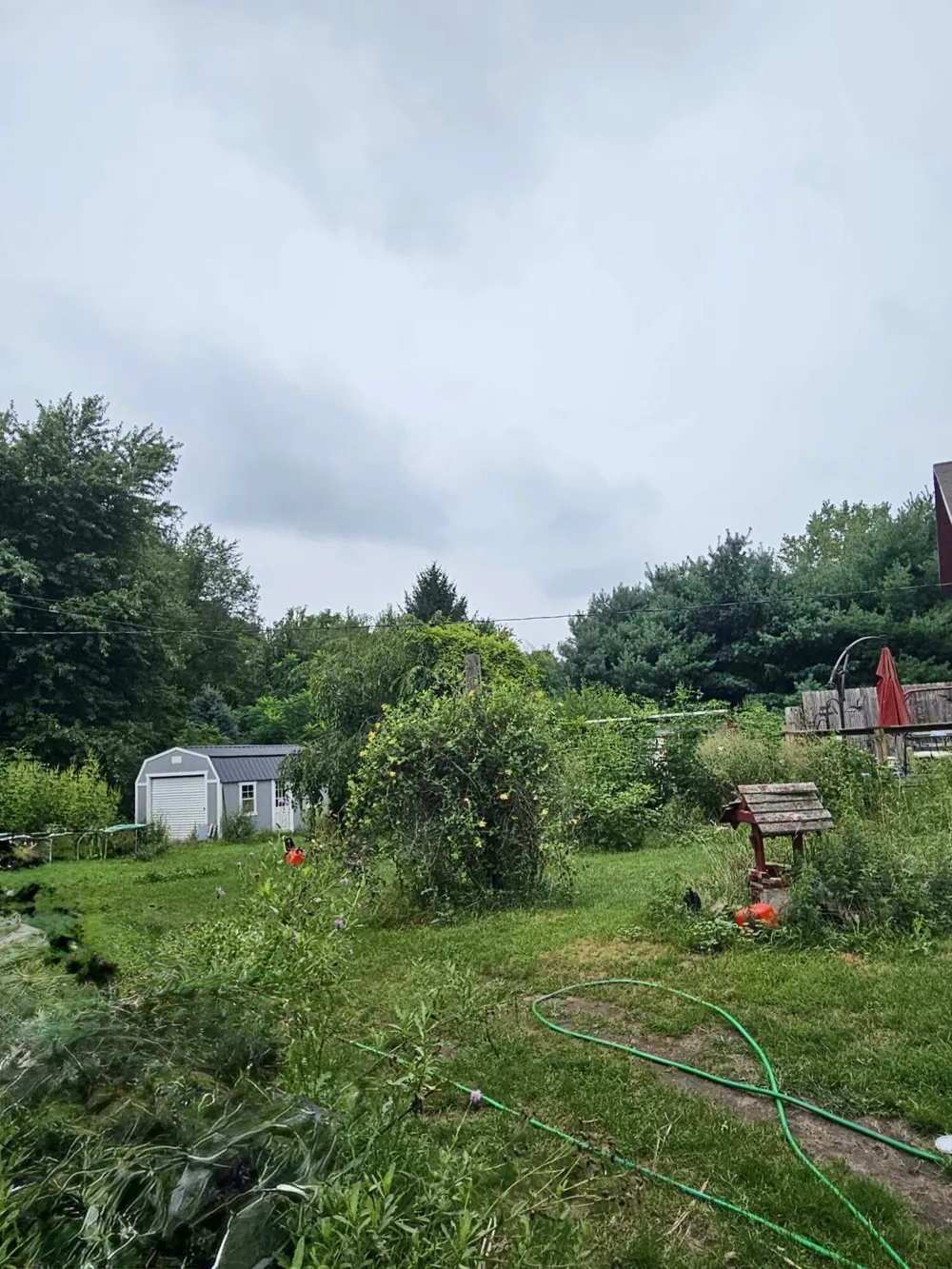 2800 Edon Road Allen, MI 49227