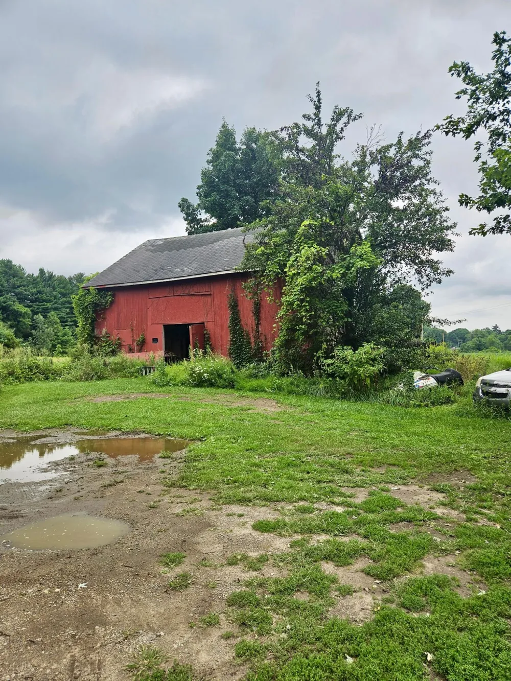 2800 Edon Road Allen, MI 49227