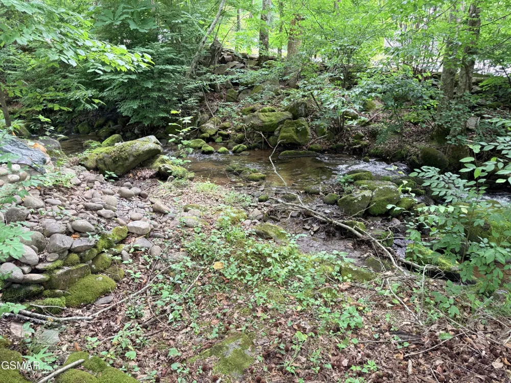 4229 E Parkway Gatlinburg, TN 37738