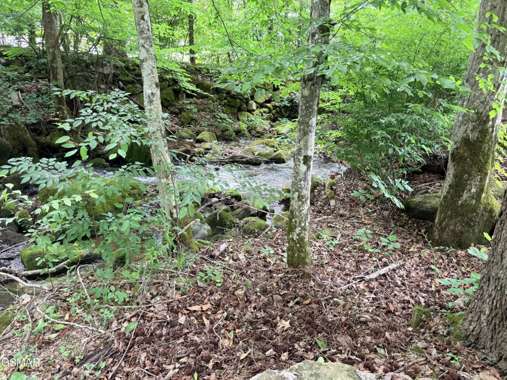 4229 E Parkway Gatlinburg, TN 37738