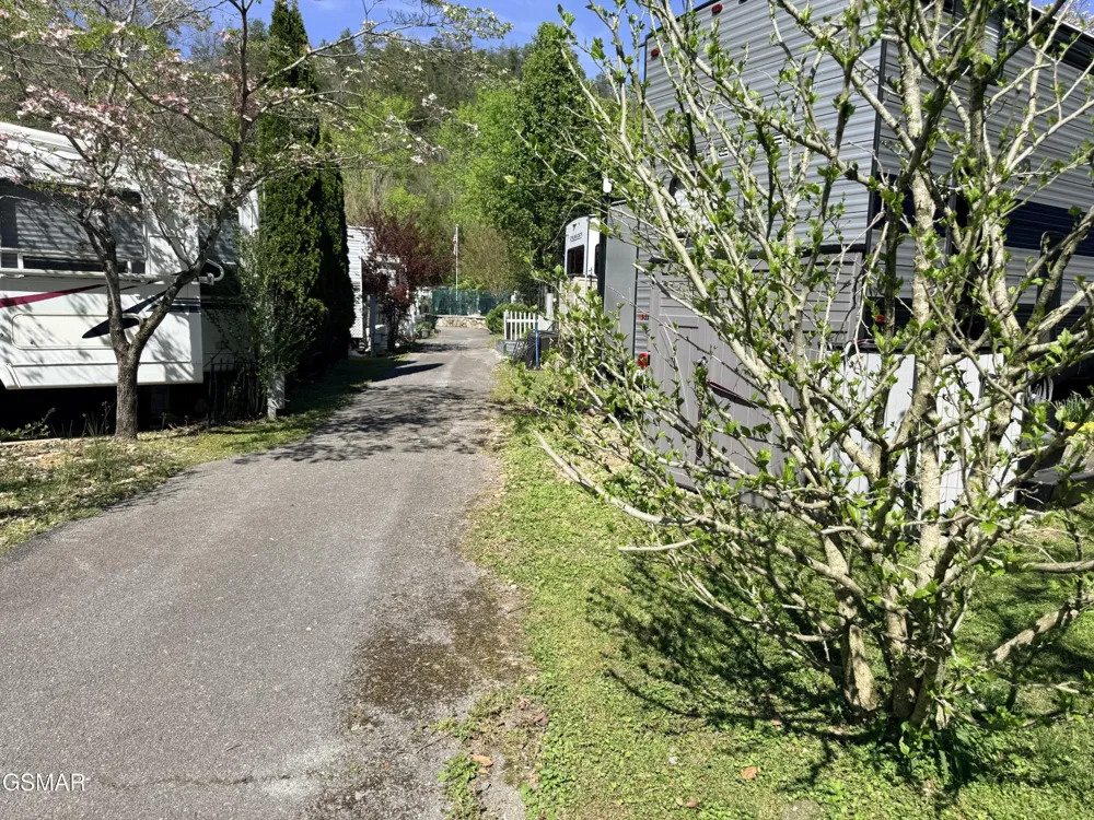 4229 E Parkway Gatlinburg, TN 37738