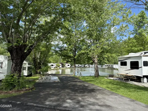 4229 E Parkway #368