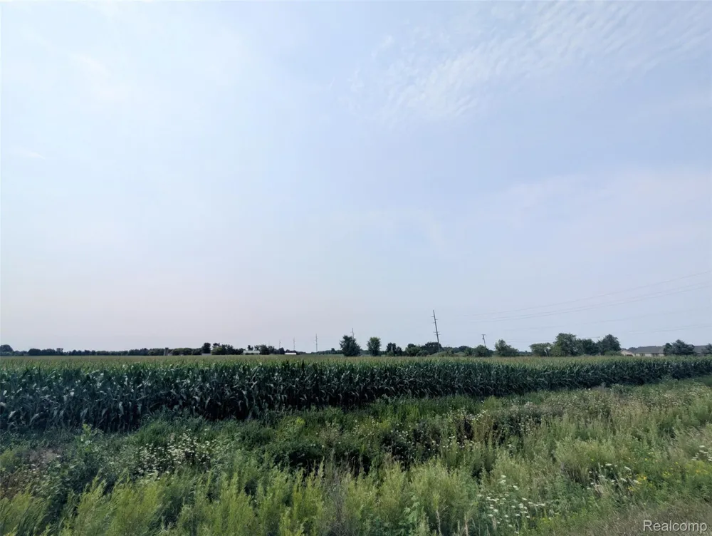Brown Road Greenwood Township, MI 48006