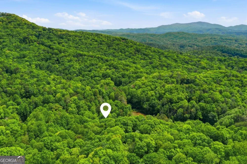 1564 Big Ben RD Ellijay, GA 30540