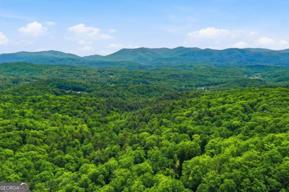 1564 Big Ben RD Ellijay, GA 30540