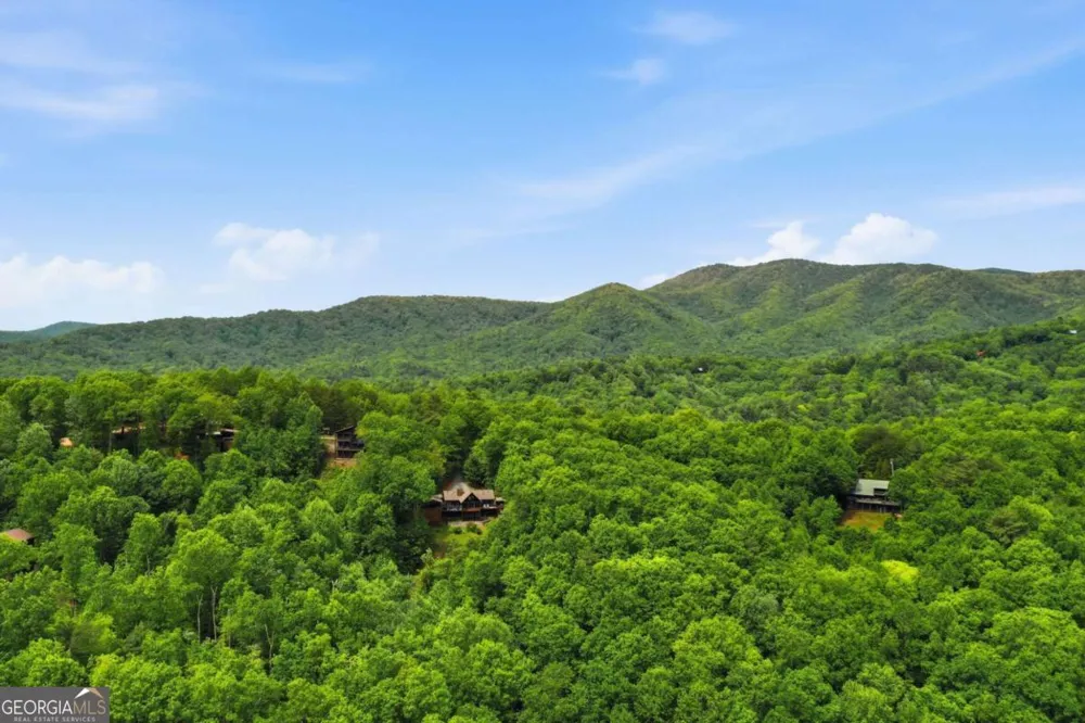1564 Big Ben RD Ellijay, GA 30540