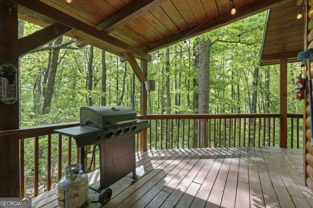 1564 Big Ben RD Ellijay, GA 30540