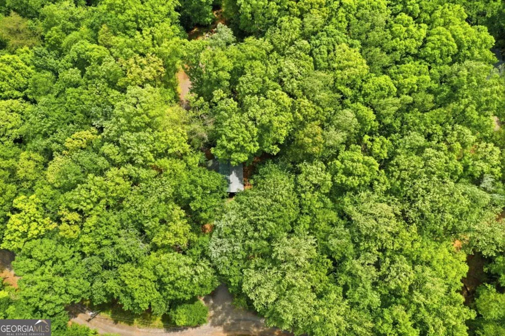 1564 Big Ben RD Ellijay, GA 30540