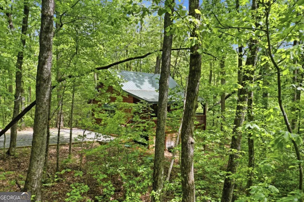 1564 Big Ben RD Ellijay, GA 30540