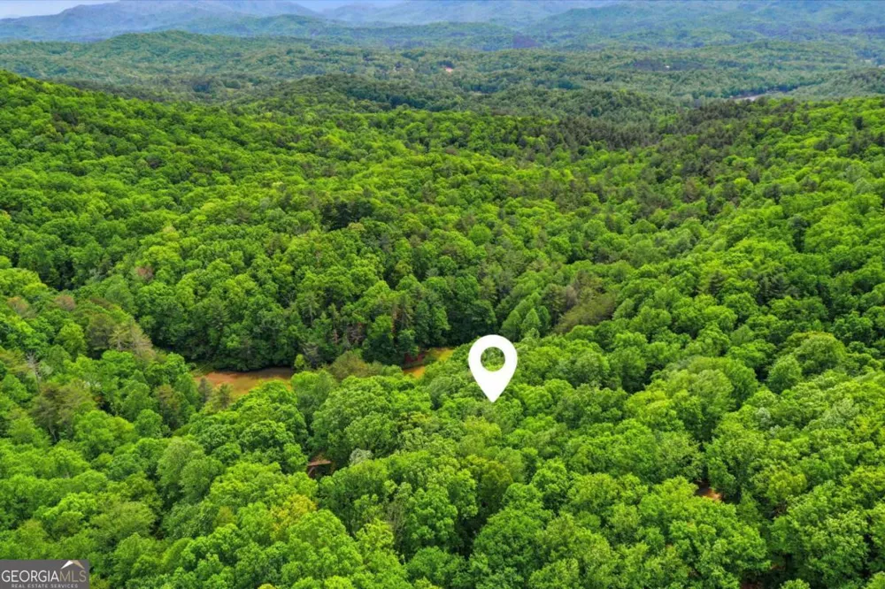 1564 Big Ben RD Ellijay, GA 30540