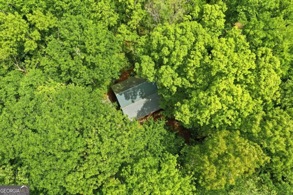 1564 Big Ben RD Ellijay, GA 30540