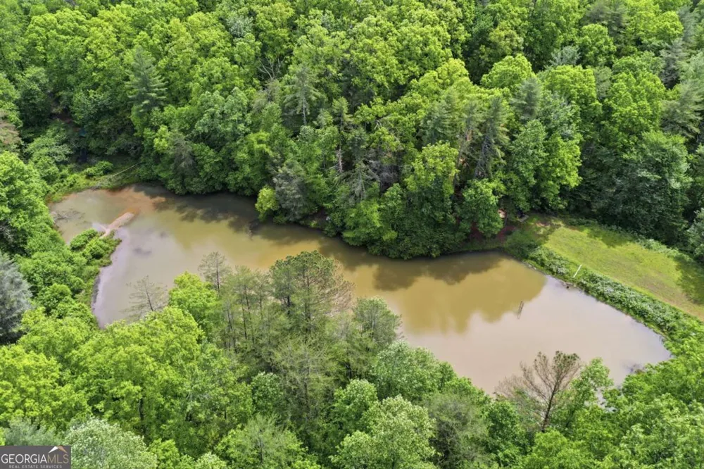 1564 Big Ben RD Ellijay, GA 30540