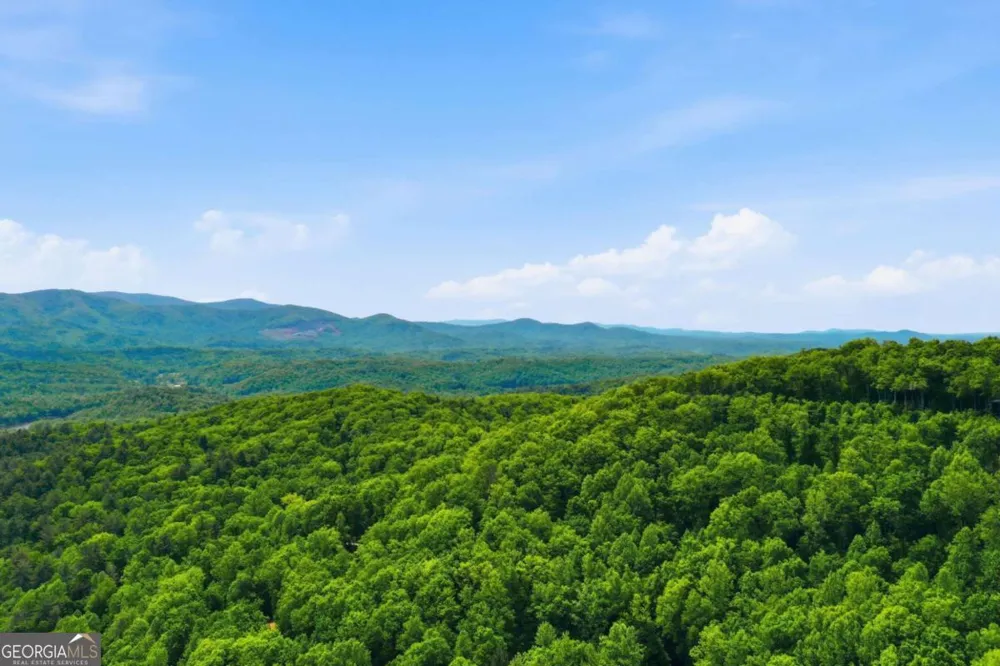 1564 Big Ben RD Ellijay, GA 30540