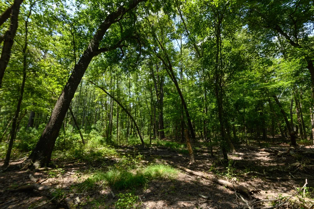 4480 Fm 2137 Bullard, TX 75757