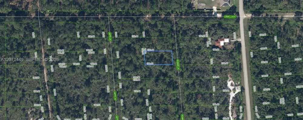 722 Ronnie Lane Lake Placid, FL 33852