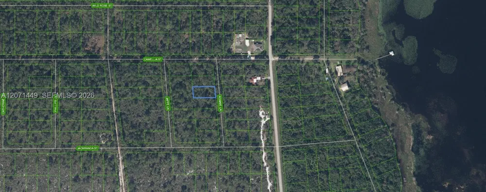 722 Ronnie Lane Lake Placid, FL 33852
