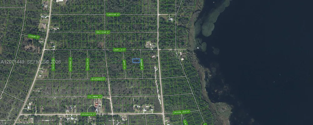 722 Ronnie Lane Lake Placid, FL 33852