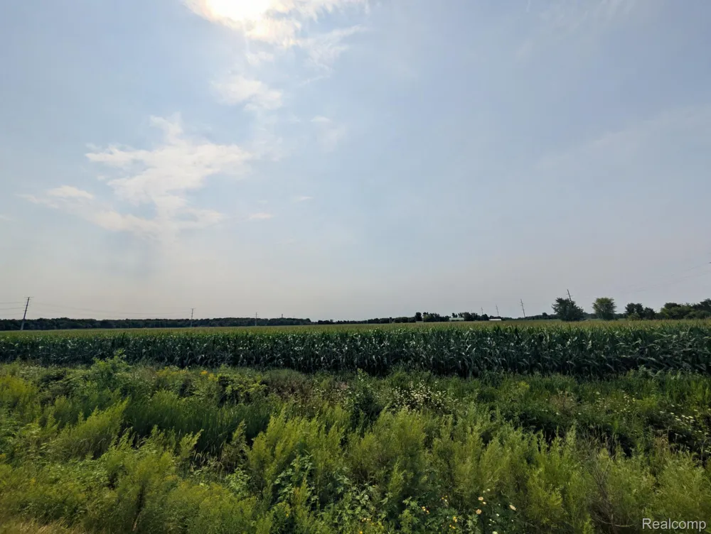 Brown Rd Road Greenwood Township, MI 48006