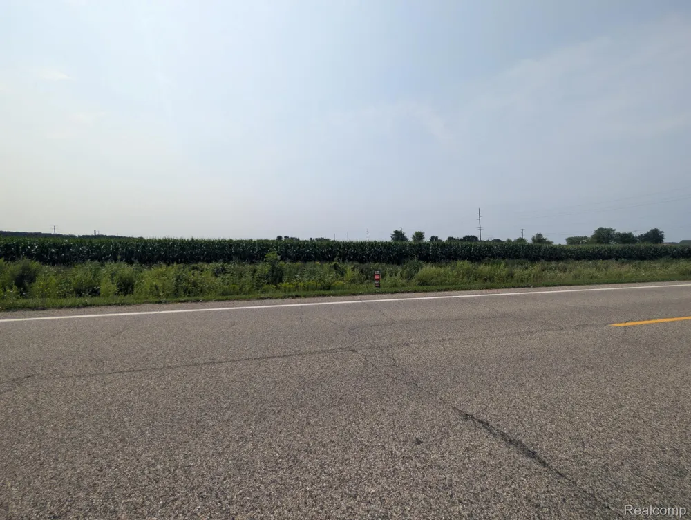 Brown Road Greenwood Township, MI 48006