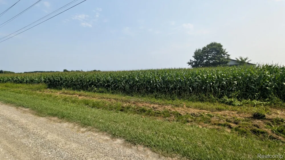 Brown Road Greenwood Township, MI 48006