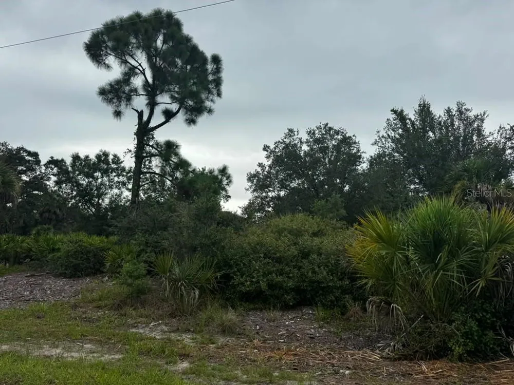 17459 PLAINS AVENUE Port Charlotte, FL 33948