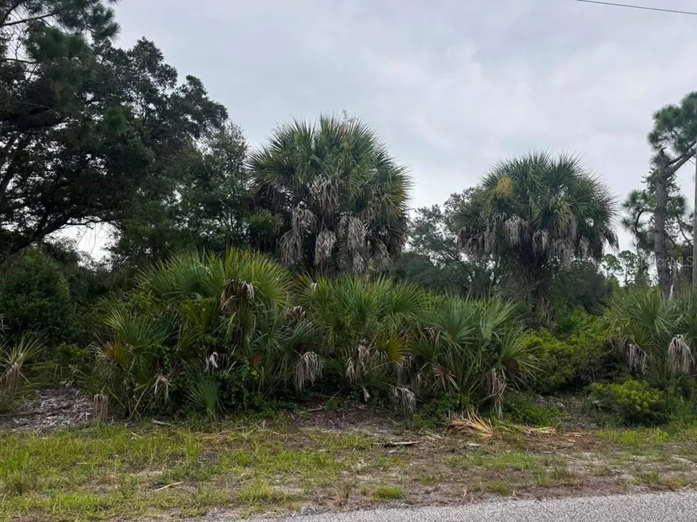 17459 PLAINS AVENUE Port Charlotte, FL 33948
