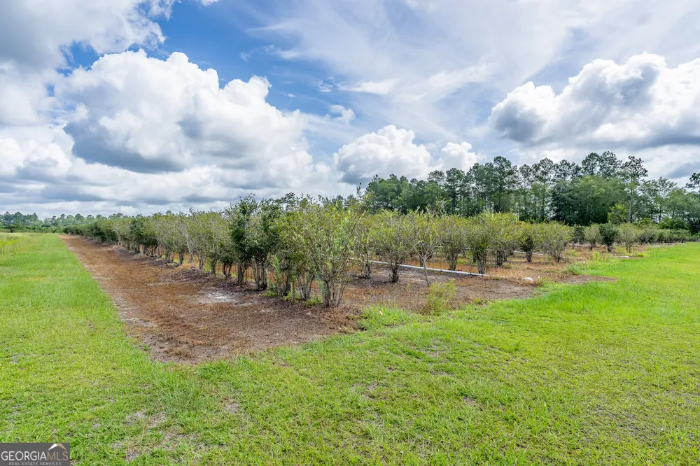 7848 Trudie RD Patterson, GA 31557