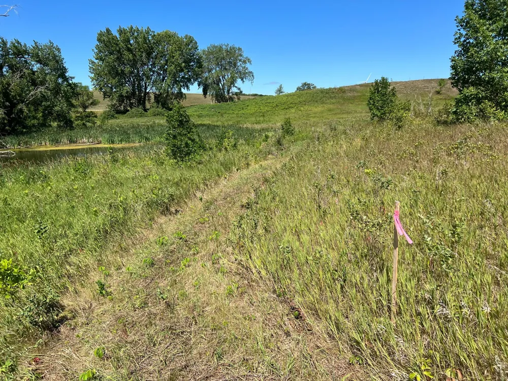 26029 154 AVENUE S Barnesville, MN 56514