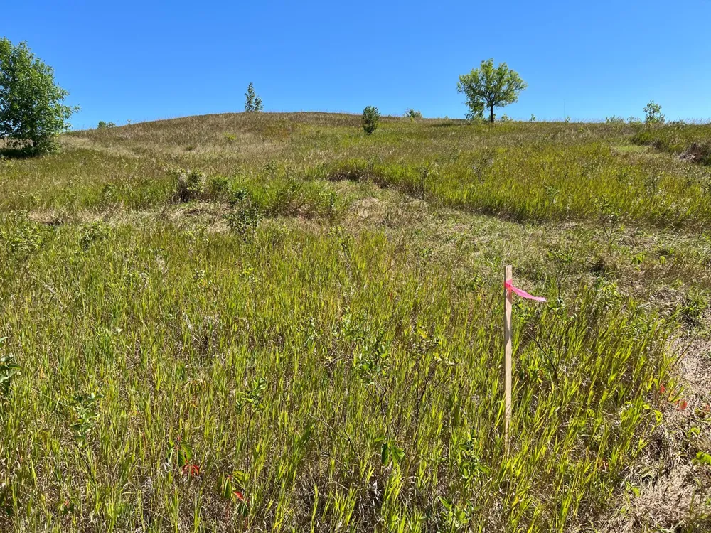 26029 154 AVENUE S Barnesville, MN 56514