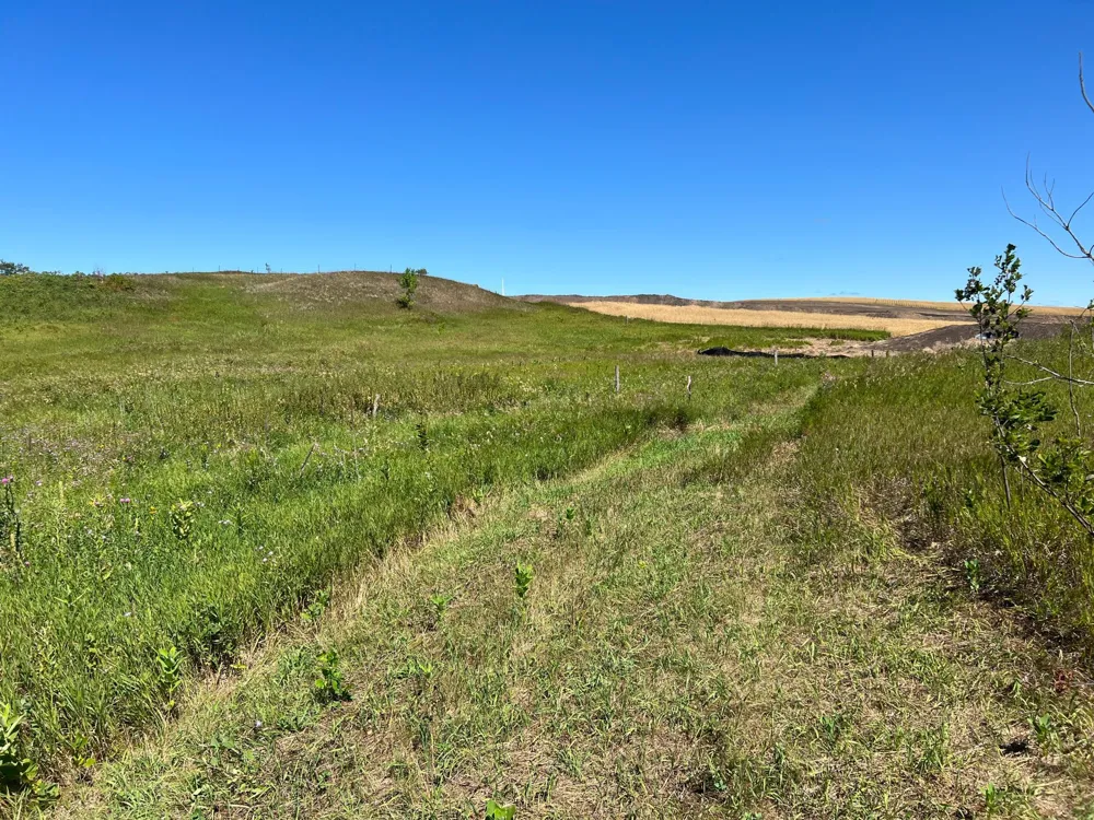 26029 154 AVENUE S Barnesville, MN 56514