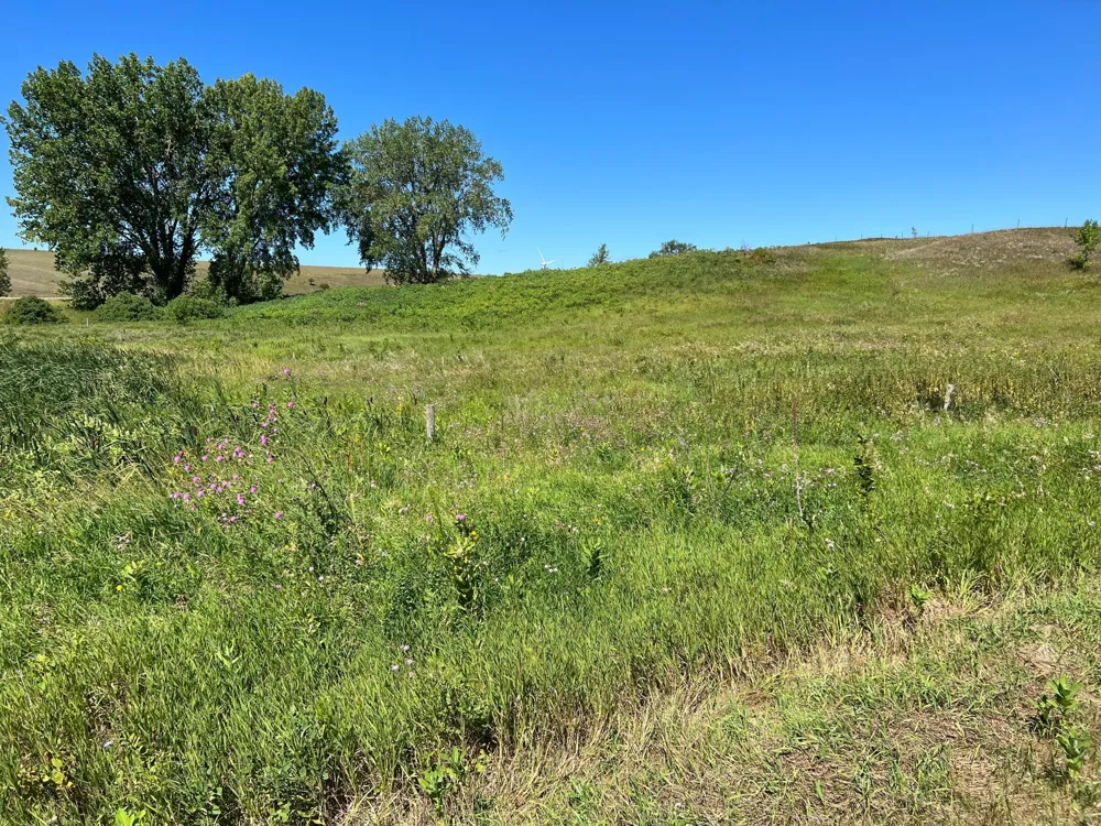 26029 154 AVENUE S Barnesville, MN 56514