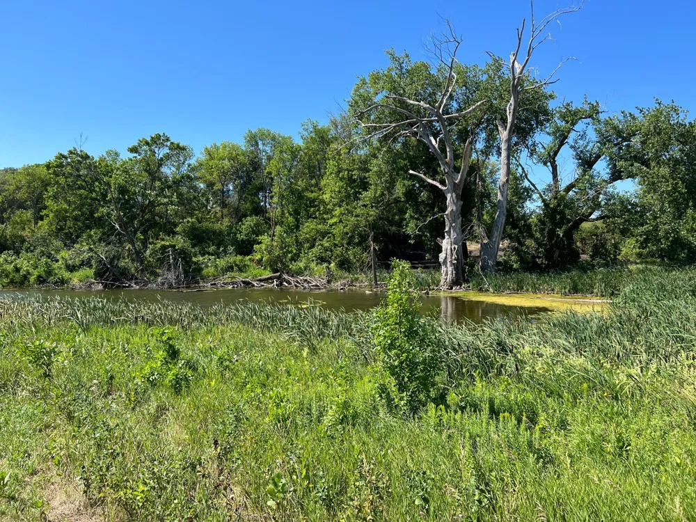 26029 154 AVENUE S Barnesville, MN 56514