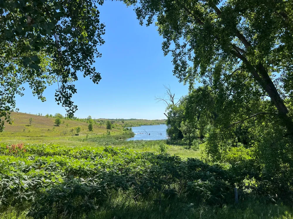 26029 154 AVENUE S Barnesville, MN 56514