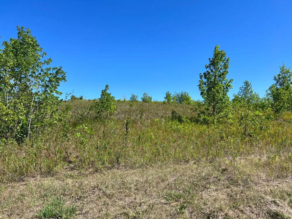 26085 154 AVENUE S Barnesville, MN 56514