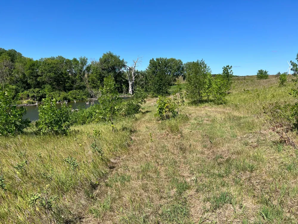 26085 154 AVENUE S Barnesville, MN 56514