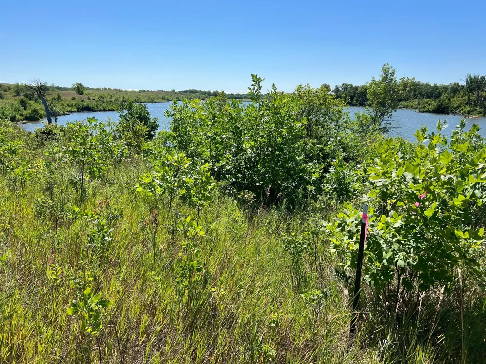26085 154 AVENUE S Barnesville, MN 56514