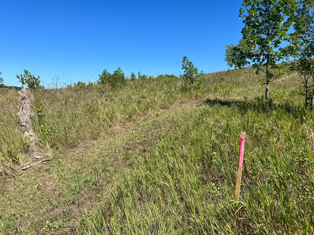 26085 154 AVENUE S Barnesville, MN 56514