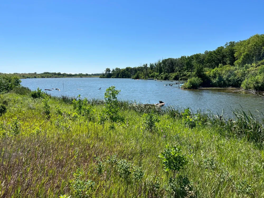26085 154 AVENUE S Barnesville, MN 56514