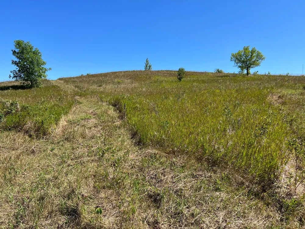 26085 154 AVENUE S Barnesville, MN 56514