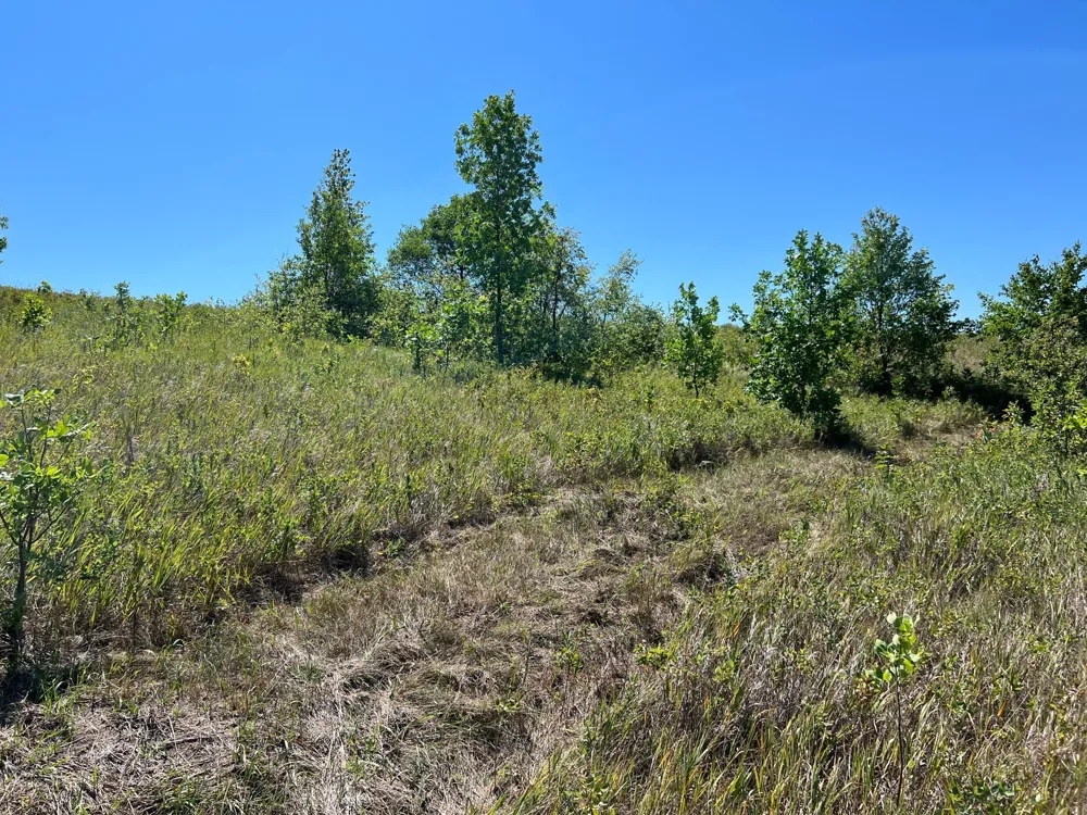 26085 154 AVENUE S Barnesville, MN 56514