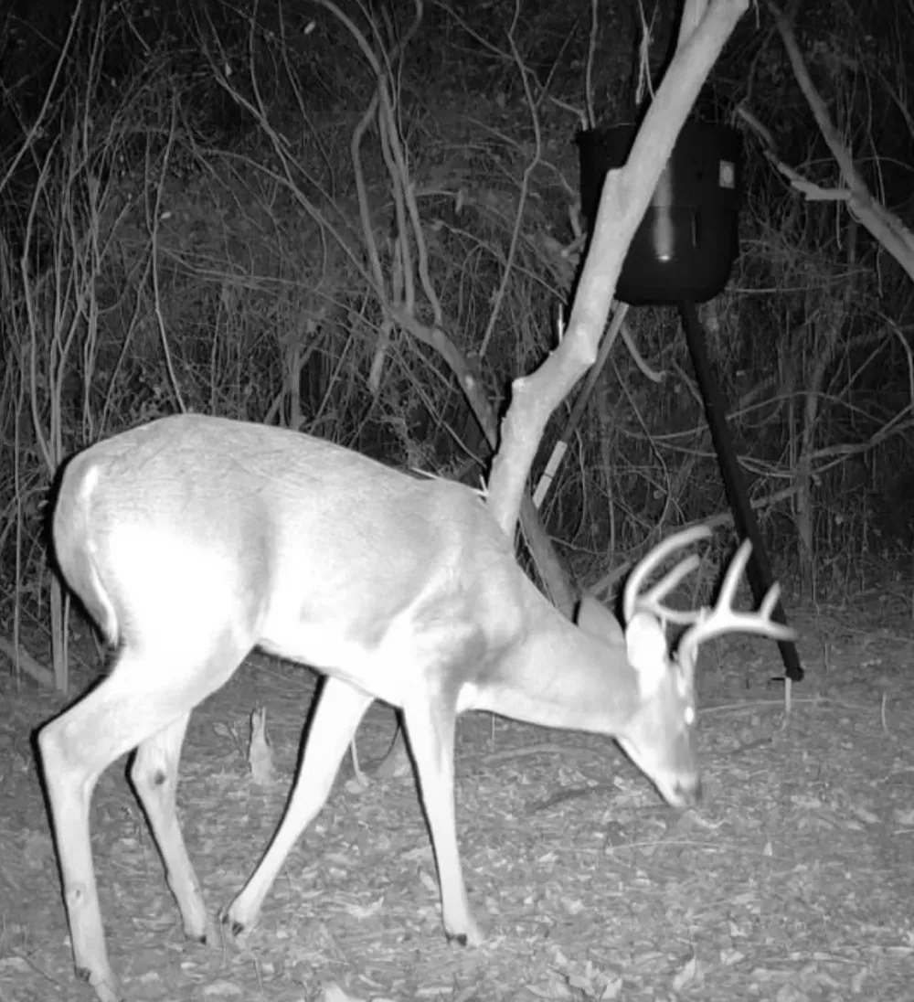 Cr 207 Centerville, TX 75833